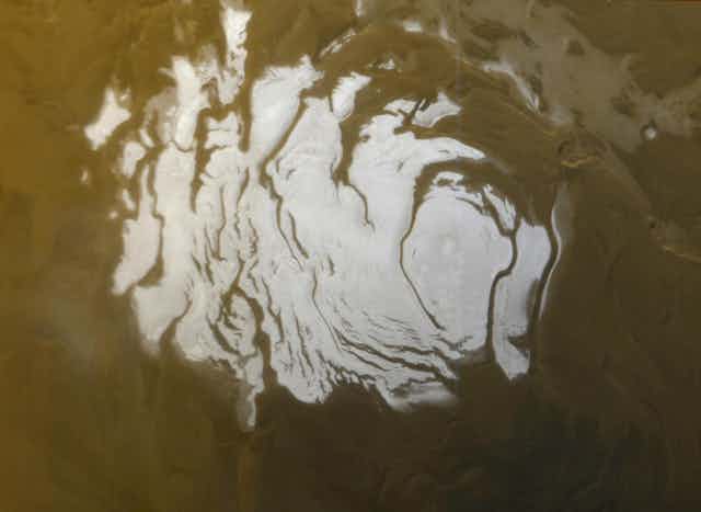 What on Earth could live in a salt water lake on Mars? An expert