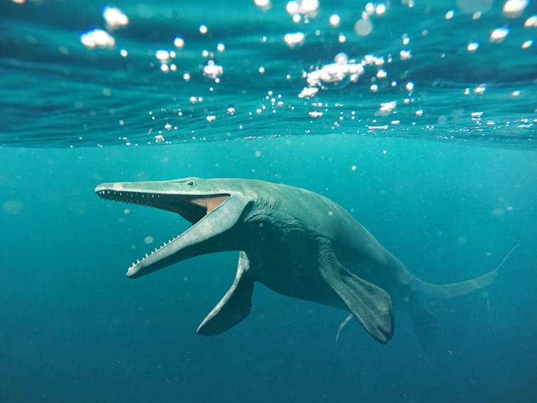 The Meg: the ocean's fossil record is a treasure trove for potential