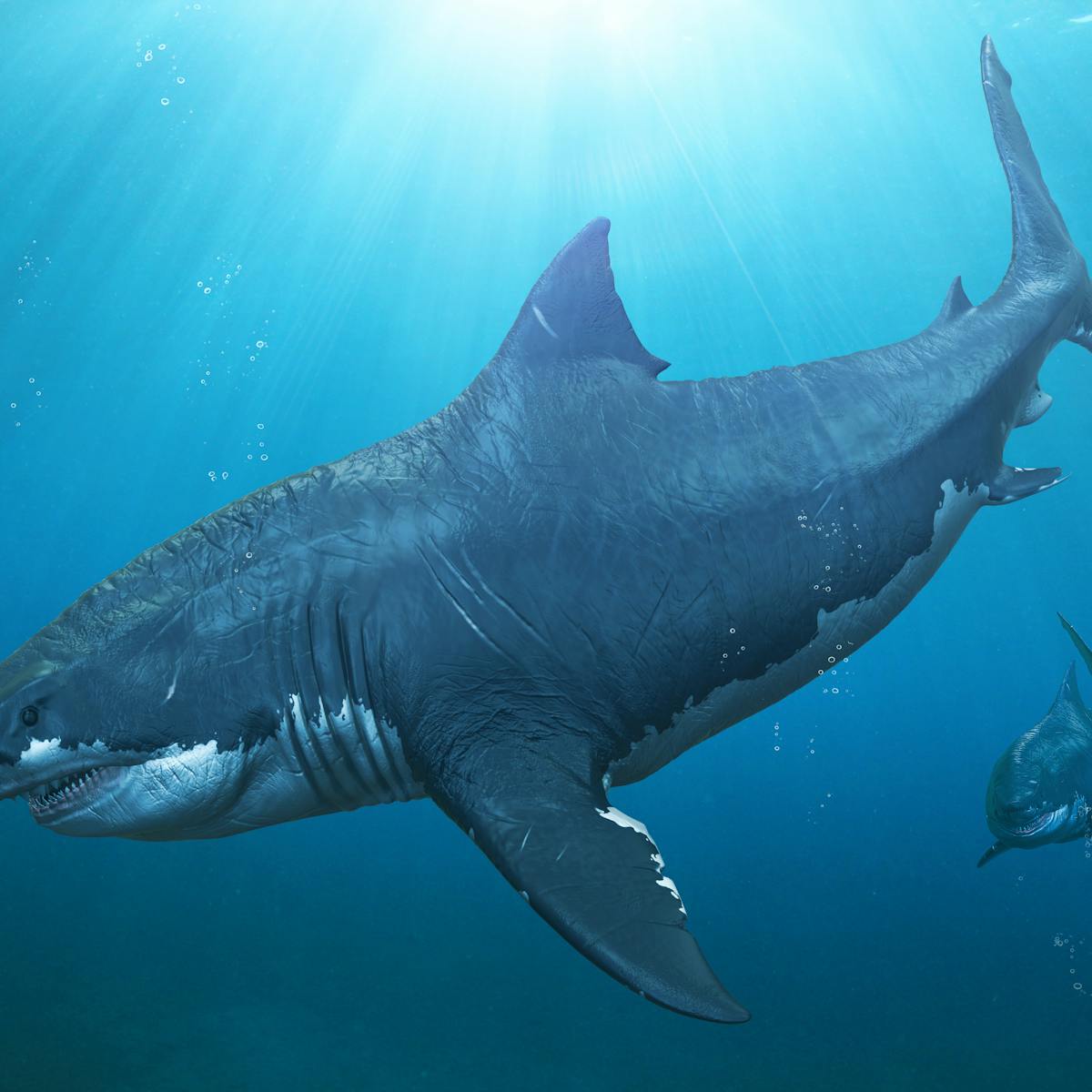 The Meg: the ocean's fossil record is a treasure trove for potential  monster movies