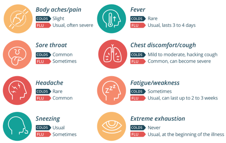 A strong immune system helps ward off colds and flus, but it's not the only factor