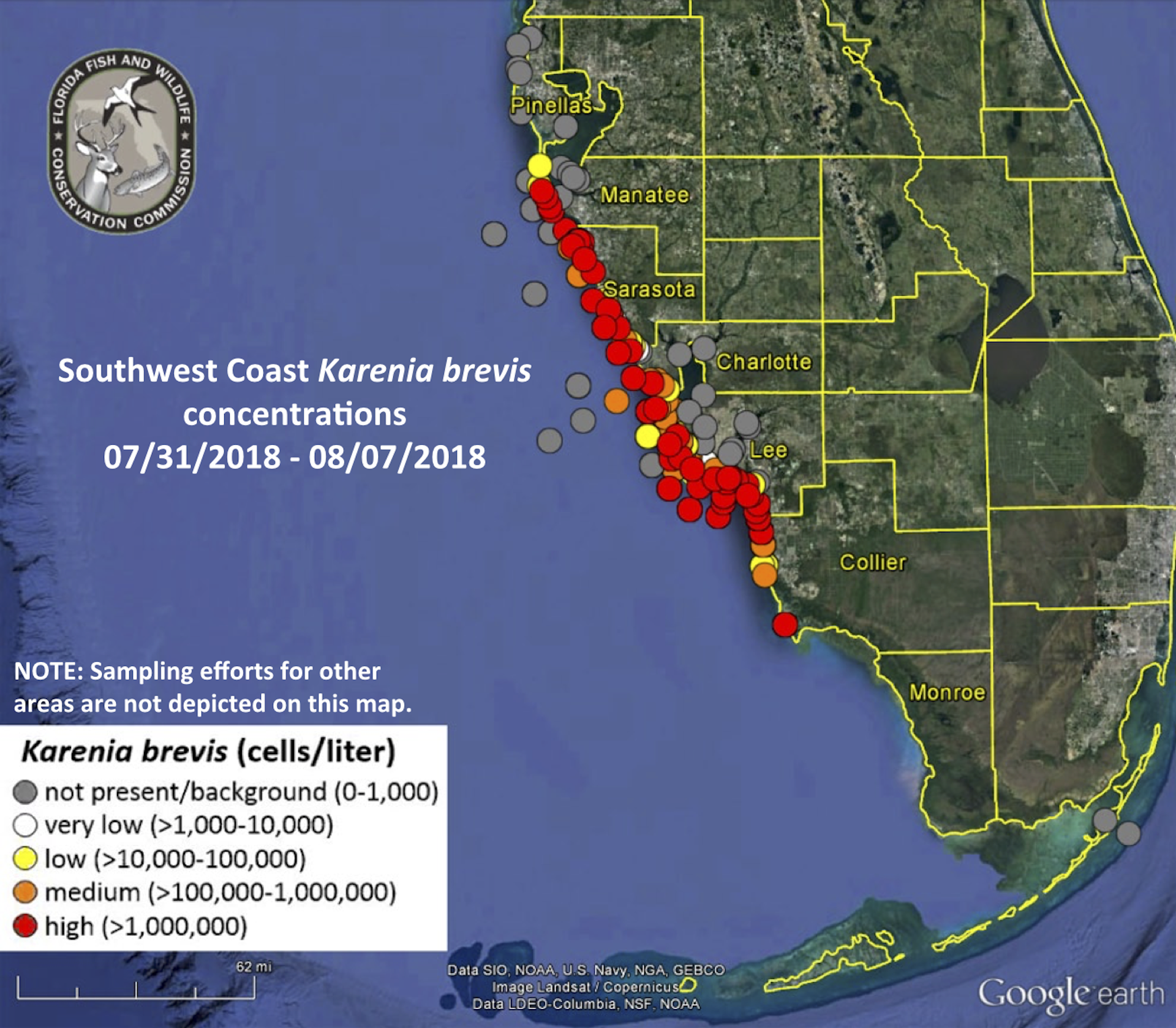 red tide florida cause