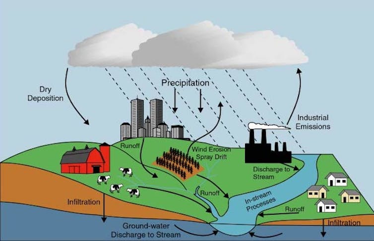 file 20180809 30467 1ch5py7.jpg?ixlib=rb 1.1 In: What is causing Florida’s algae crisis? | Our Santa Fe River, Inc. (OSFR) | Protecting the Santa Fe River