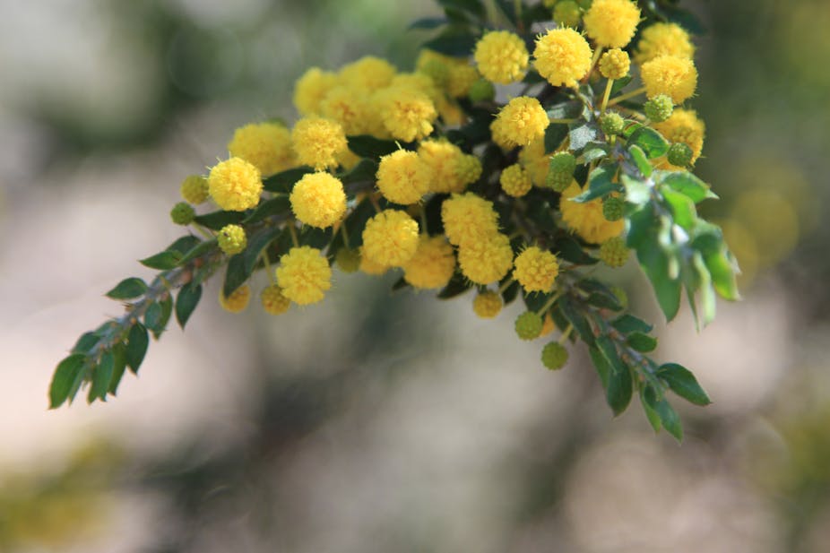 how do you search in conversation on messenger how do you search in conversation on messenger