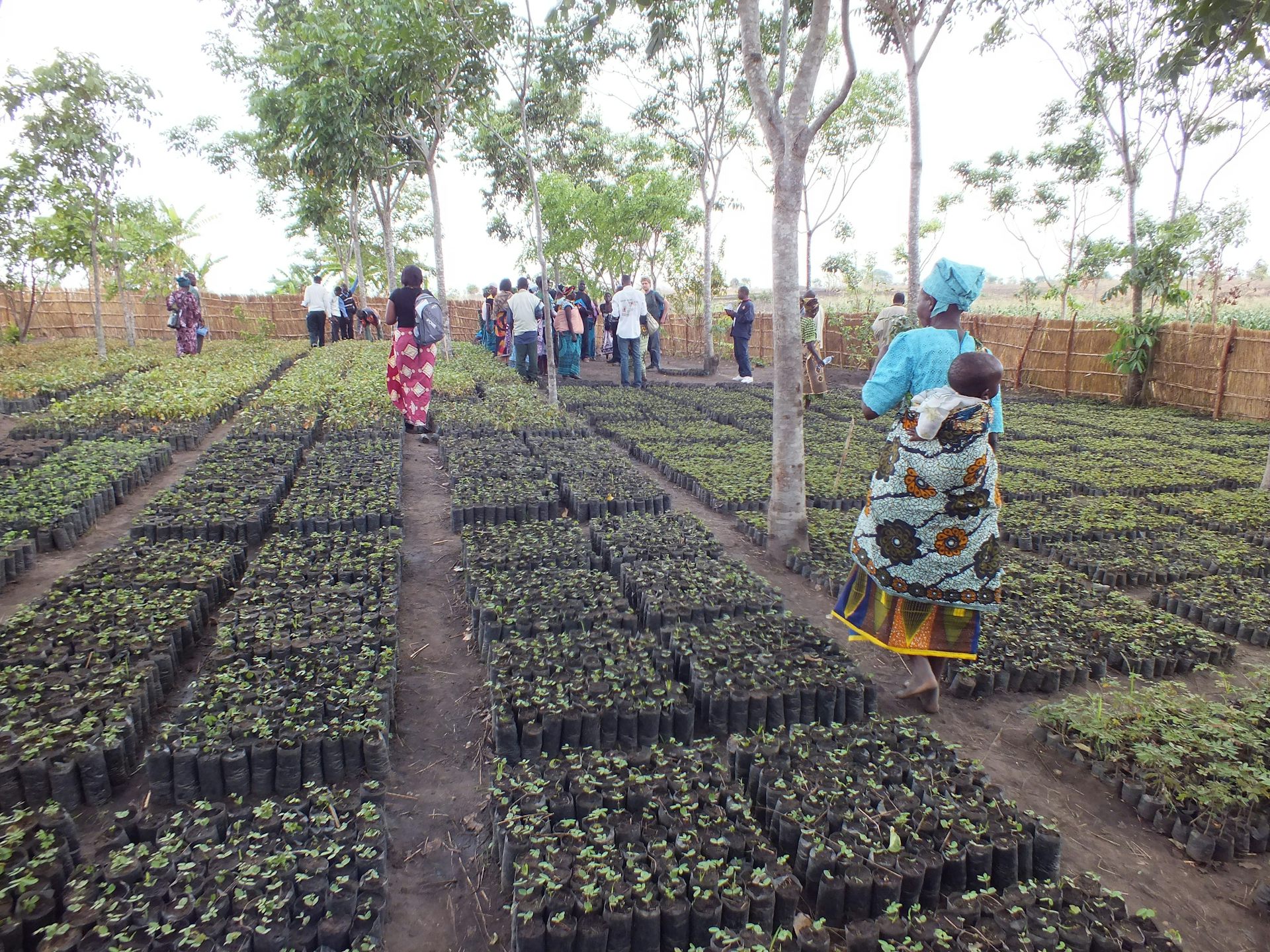 File 20180810 2906 1g3no32.jpg?ixlib=rb 1.1