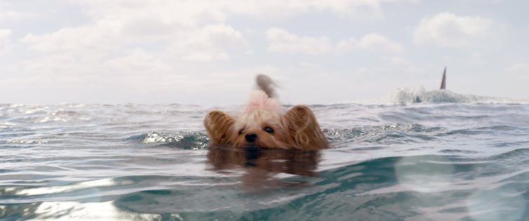 The Meg! When the (giant prehistoric) shark bites, the science bites back