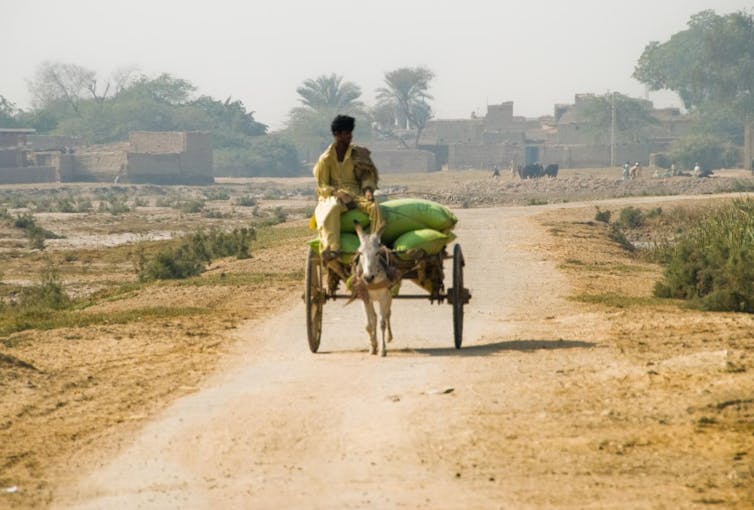 File 20180813 2915 p0fpmp.jpg?ixlib=rb 1.1