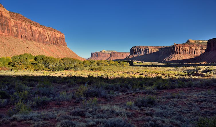 Why Native Americans Struggle To, Native American Landscape