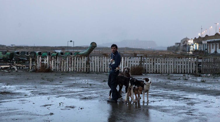 Matteo Garrone's Dogman needs more dogs