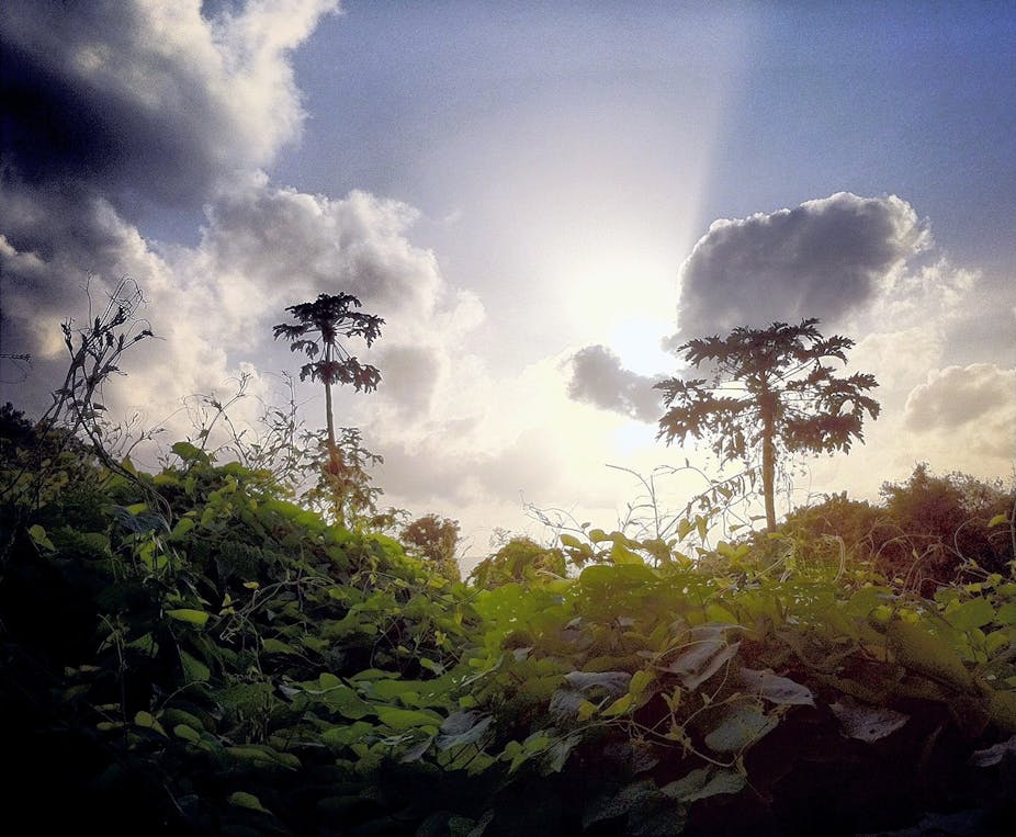 Unknown Wonders Christmas Island Unknown Wonders Christmas Island