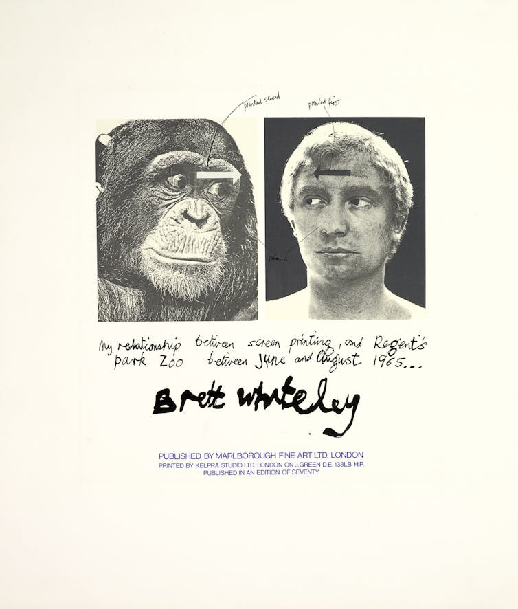 An ape in anguish: Brett Whiteley's Sacred baboon