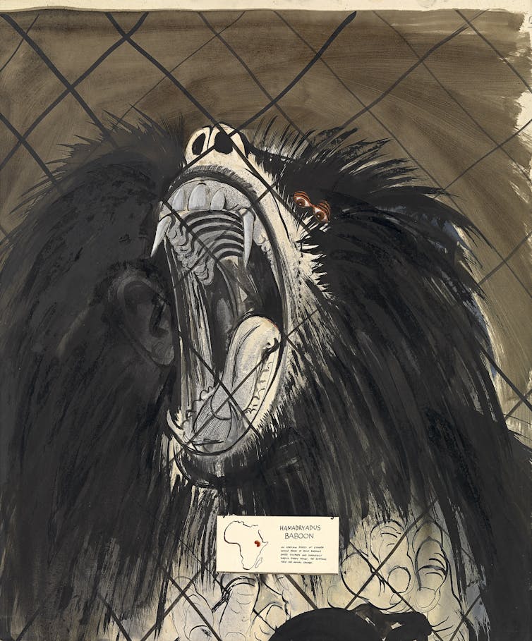 An ape in anguish: Brett Whiteley's Sacred baboon