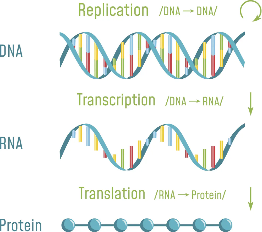 Approval of first ‘RNA interference’ drug – why the excitement?