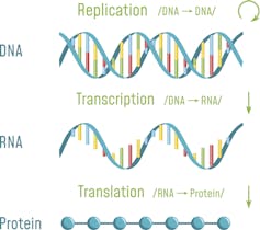 Approval of first ‘RNA interference’ drug – why the excitement?