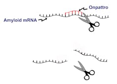 Approval of first ‘RNA interference’ drug – why the excitement?