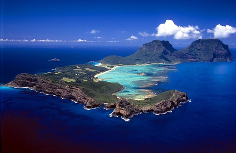 The Lord Howe screw pine is a self-watering island giant