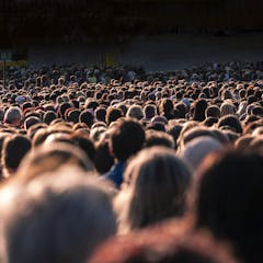 research report about overpopulation