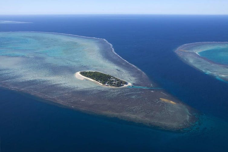 Politicised science on the Great Barrier Reef? It's been that way for more than a century