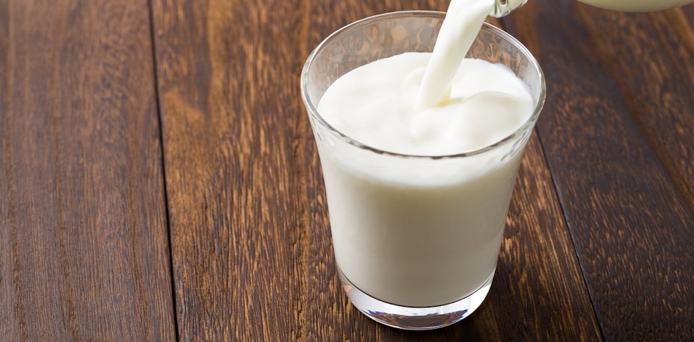 Can a glass of milk really 'slash' your risk of type 2