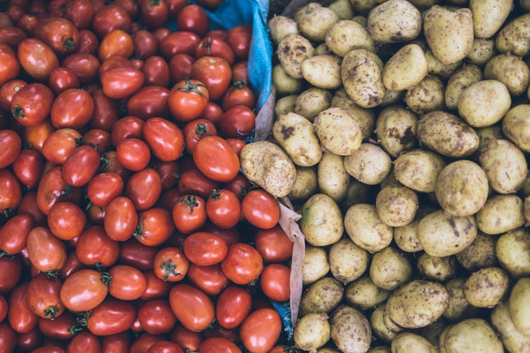 what are nightshade vegetables and are they bad for you?