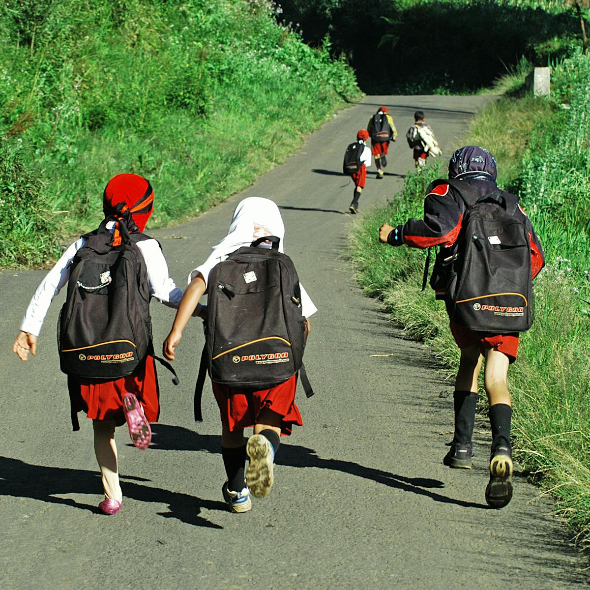 Salah Satu Ciri Adanya Proses Pembentukan Lingkungan Hidup Salah Satu Ciri Adanya Proses Pembentukan Lingkungan Hidup