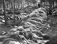 World politics explainer: The Holocaust