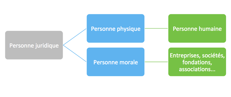 A Quand L Animal Reconnu Comme Une Personne Juridique En