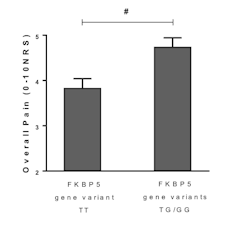 Chronic pain after trauma may depend on what stress gene variation you carry