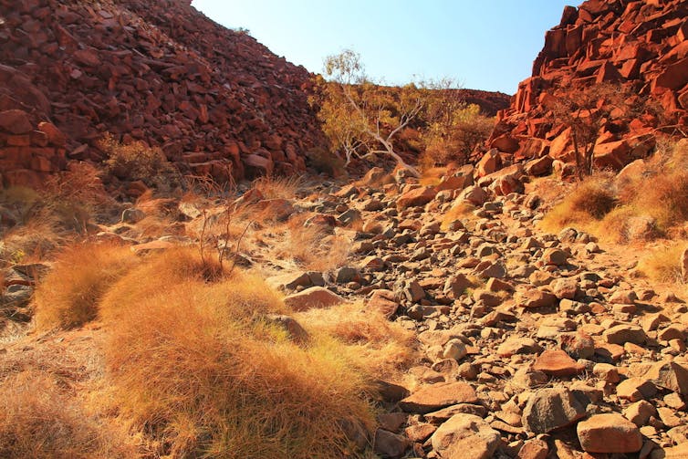 why the rock art of Murujuga deserves World Heritage status