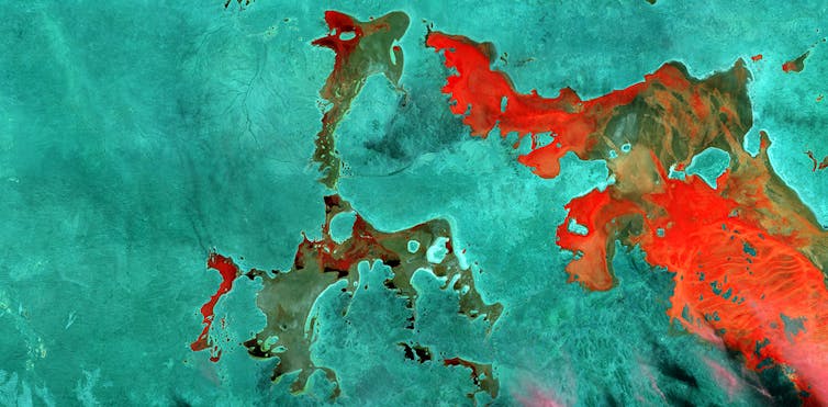 File 20180827 75981 h6vbep.jpg?ixlib=rb 1.1