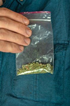 How to tell the difference between synthetic marijuana and real marijuana -  Quora