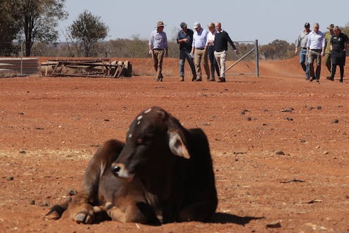 Drought is inevitable, Mr Joyce