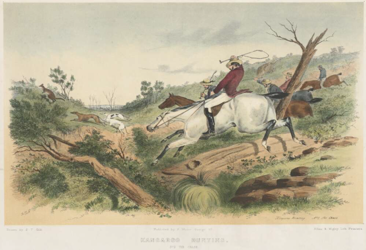 the art of the colonial kangaroo hunt