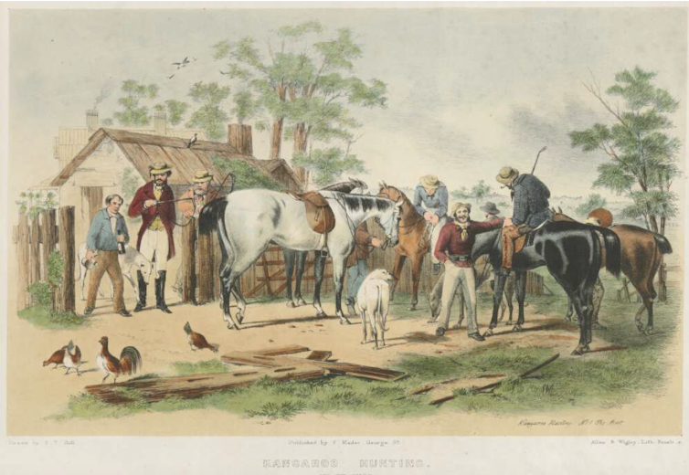 the art of the colonial kangaroo hunt