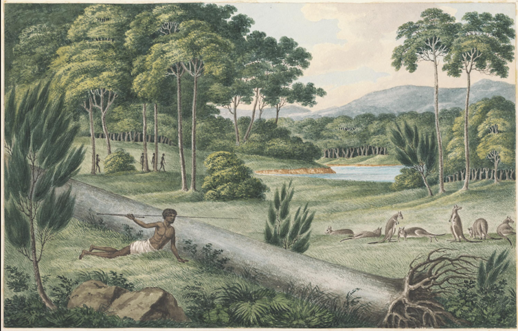 the art of the colonial kangaroo hunt