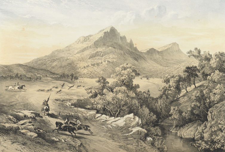 the art of the colonial kangaroo hunt