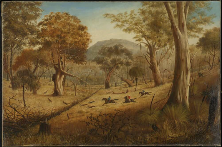 the art of the colonial kangaroo hunt