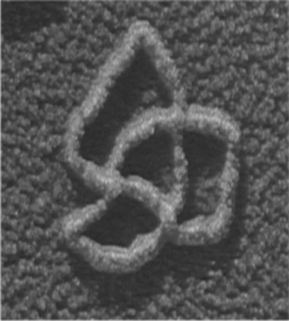Real Human Dna Under Microscope Cells In A Microscope