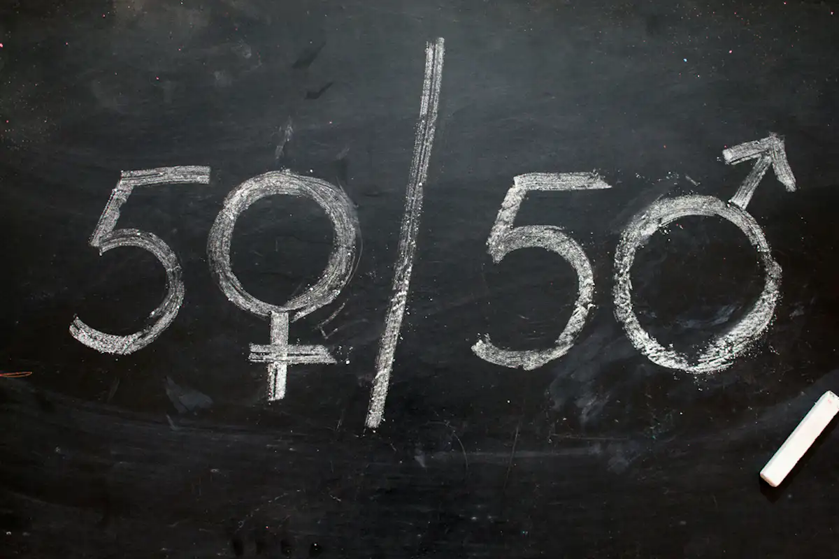 Gender quotas and targets would speed up progress on gender equity in ...