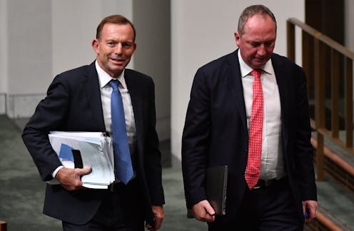 Could Section 44 exclude Tony Abbott and Barnaby Joyce from parliament?