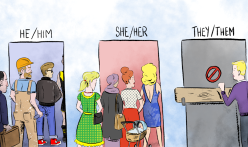 Gender diversity is more accepted in society, but using the pronoun 'they' still divides