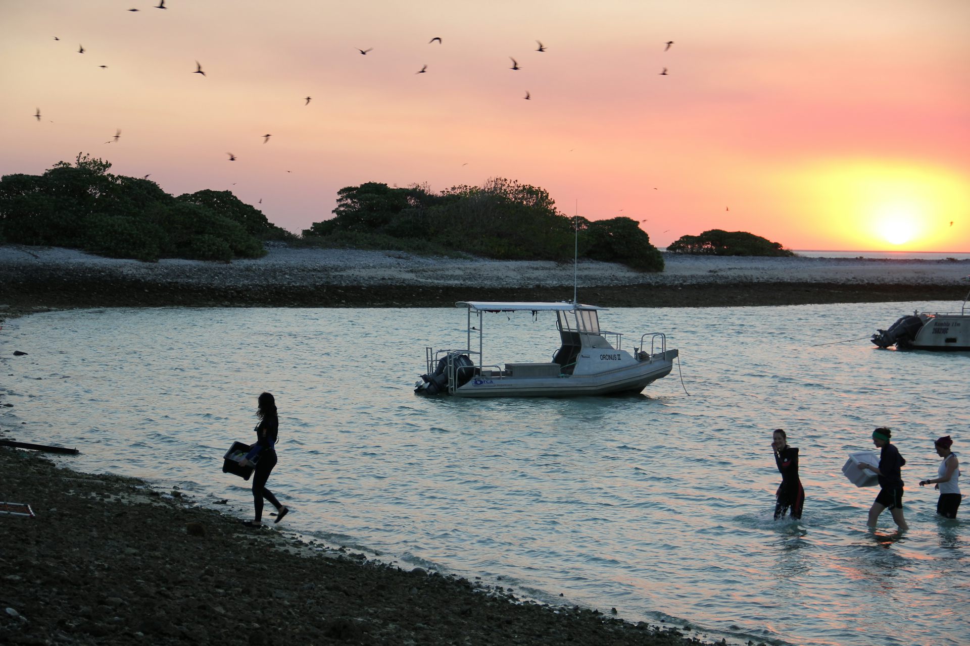 File 20180904 45158 gxwcf1.jpg?ixlib=rb 1.1