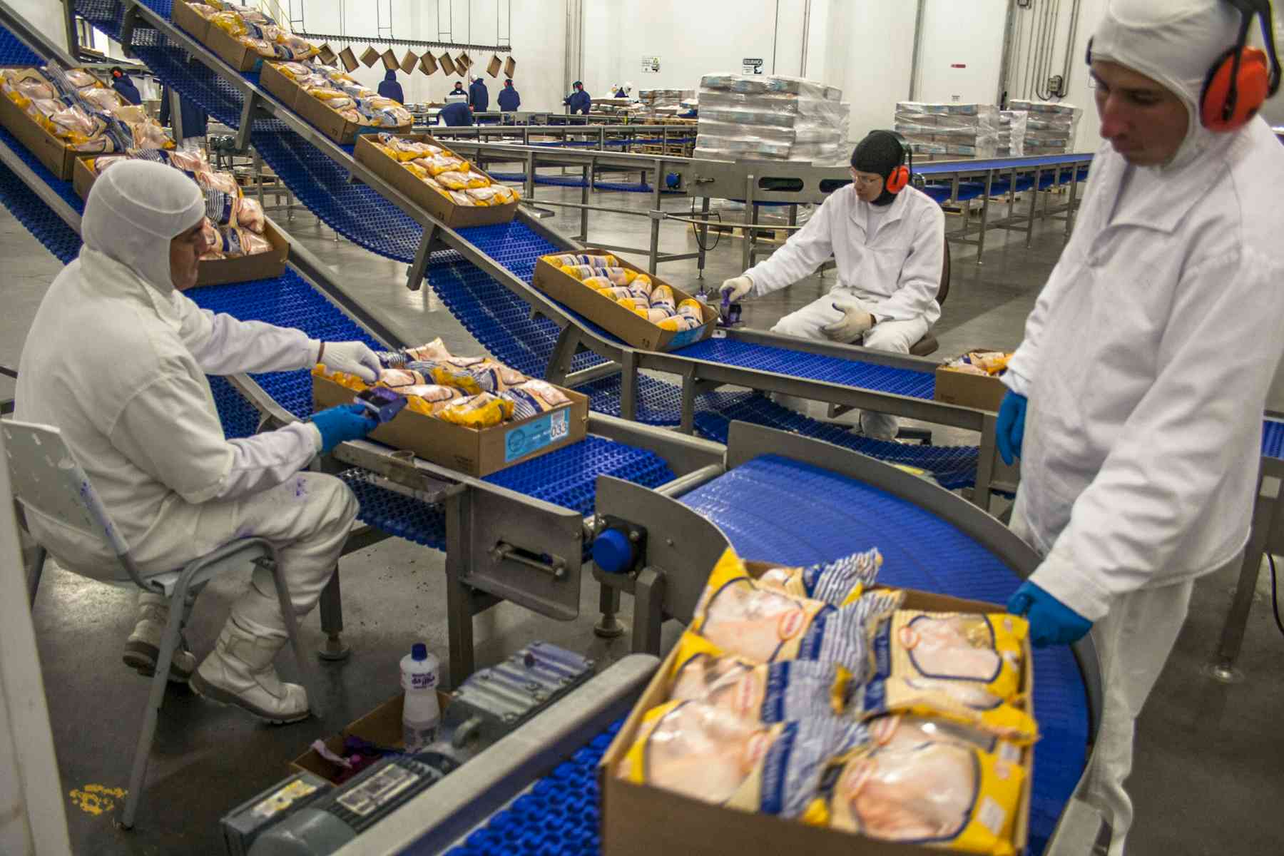 Enormous amounts of food are wasted during manufacturing – here’s where ...