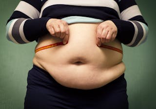 It S Eating Fat That Makes You Fat New Mouse Study Suggests