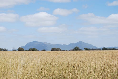 Climate change will reshape the world’s agricultural trade