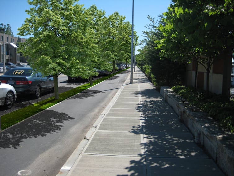 Designing greener streets starts with finding room for bicycles and trees