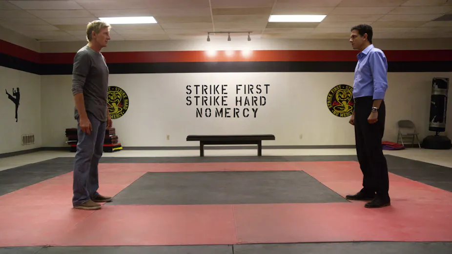 Cobra Kai Karate Kid Spin Off Is A Social Parable For Our Times