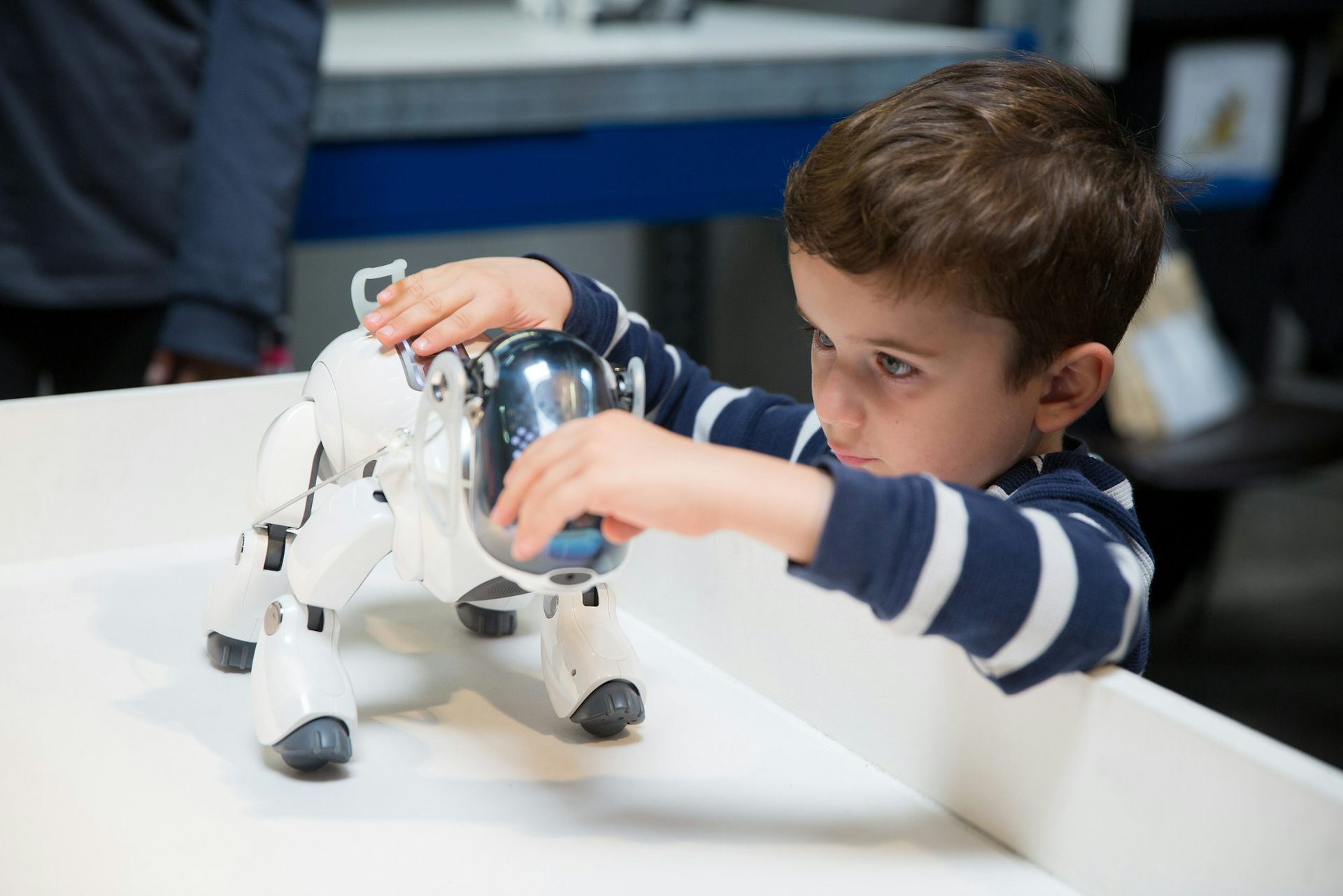 Why we love robotic dogs, puppets and dolls