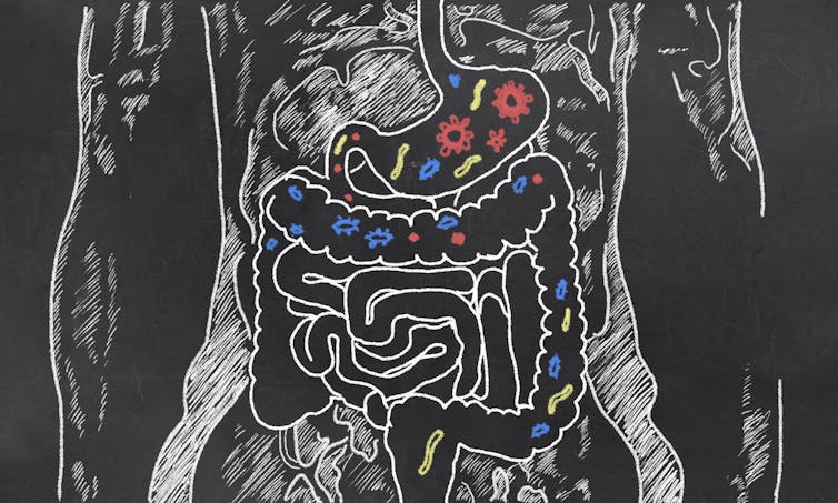 File 20180909 90581 p9aqii.jpg?ixlib=rb 1.1