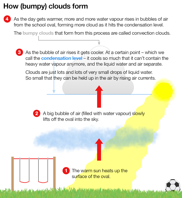 where do clouds come from and why do they have different shapes?