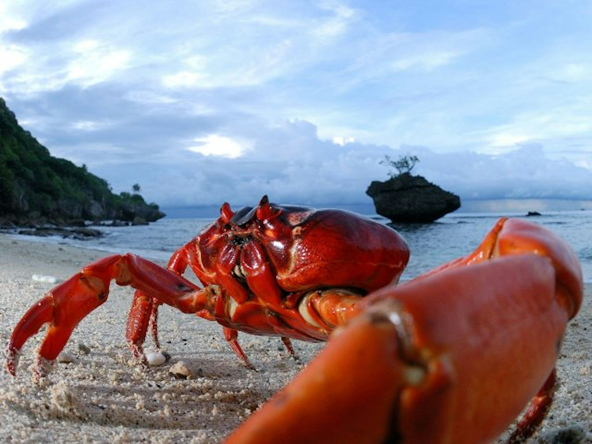 Unknown wonders: Christmas Island